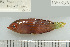  ( - UG1039)  @13 [ ] CreativeCommons - Attribution (2009) Unspecified Centre for Biodiversity Genomics