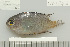  ( - UG1042)  @11 [ ] CreativeCommons - Attribution (2009) Unspecified Centre for Biodiversity Genomics