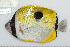  ( - UG1053)  @12 [ ] CreativeCommons - Attribution (2009) Unspecified Centre for Biodiversity Genomics