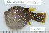  ( - UG1061)  @14 [ ] CreativeCommons - Attribution (2009) Unspecified Centre for Biodiversity Genomics
