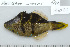  ( - UG1070)  @13 [ ] CreativeCommons - Attribution (2009) Unspecified Centre for Biodiversity Genomics