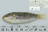  ( - UG1075)  @12 [ ] CreativeCommons - Attribution (2009) Unspecified Centre for Biodiversity Genomics