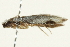  ( - SNS10IL-01065)  @13 [ ] CreativeCommons - Attribution (2011) CBG Photography Group Centre for Biodiversity Genomics