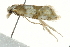  ( - SNS10IL-00135)  @12 [ ] CreativeCommons - Attribution (2011) CBG Photography Group Centre for Biodiversity Genomics