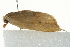  ( - SNS10IL-00278)  @12 [ ] CreativeCommons - Attribution (2011) CBG Photography Group Centre for Biodiversity Genomics