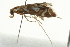  ( - SNS10IL-00497)  @12 [ ] CreativeCommons - Attribution (2011) CBG Photography Group Centre for Biodiversity Genomics