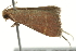  ( - SNS10IL-00640)  @12 [ ] CreativeCommons - Attribution (2011) CBG Photography Group Centre for Biodiversity Genomics