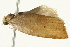 ( - SNS10IL-00793)  @12 [ ] CreativeCommons - Attribution (2011) CBG Photography Group Centre for Biodiversity Genomics