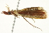  ( - SNS10IL-00797)  @12 [ ] CreativeCommons - Attribution (2011) CBG Photography Group Centre for Biodiversity Genomics