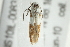  ( - SNS10IL-00831)  @12 [ ] CreativeCommons - Attribution (2011) CBG Photography Group Centre for Biodiversity Genomics
