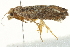  ( - SNS10IL-00899)  @12 [ ] CreativeCommons - Attribution (2011) CBG Photography Group Centre for Biodiversity Genomics