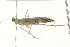  ( - SNS10IL-01122)  @12 [ ] CreativeCommons - Attribution (2011) CBG Photography Group Centre for Biodiversity Genomics