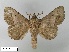  ( - SMFL-LIMAC 008)  @14 [ ] Unspecified (default): All Rights Reserved  Unspecified Unspecified