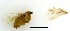 ( - VZ-LIMAC 100)  @12 [ ] Copyright (2010) Unspecified Research Collection of Alexey V. Solovyev