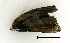  ( - VZ-LIMAC 138)  @13 [ ] Copyright (2010) Unspecified Research Collection of Alexey V. Solovyev