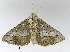  ( - VZ-LIMAC 138)  @14 [ ] Copyright (2010) Unspecified Research Collection of Alexey V. Solovyev