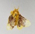  ( - AS-LIMAC 149)  @13 [ ] Copyright (2010) Unspecified Research Collection of Alexey V. Solovyev