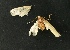  ( - AS-LIMAC 200)  @12 [ ] Copyright (2010) Unspecified Research Collection of Alexey V. Solovyev