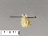  (Fignya - AS-LIMAC 315)  @12 [ ] Unspecified (default): All Rights Reserved  Unspecified Unspecified