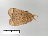  ( - AS-LIMAC 381)  @13 [ ] Unspecified (default): All Rights Reserved  Unspecified Unspecified