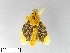  ( - AS-LIMAC 403)  @13 [ ] Unspecified (default): All Rights Reserved  Unspecified Unspecified