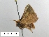  ( - AS-LIMAC 410)  @12 [ ] Unspecified (default): All Rights Reserved  Unspecified Unspecified