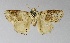 (Caissa parenti - VZ-LIMAC 4)  @14 [ ] Copyright (2010) Unspecified Research Collection of Alexey V. Solovyev