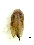  ( - VZ-LIMAC 52)  @12 [ ] Copyright (2010) Unspecified Research Collection of Alexey V. Solovyev