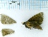  ( - AS-LIMAC 61)  @12 [ ] Copyright (2010) Unspecified Research Collection of Alexey V. Solovyev
