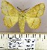  ( - DNA-VZ2011-104)  @13 [ ] Unspecified (default): All Rights Reserved  Unspecified Unspecified
