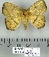  ( - DNA-VZ2011-124)  @13 [ ] Unspecified (default): All Rights Reserved  Unspecified Unspecified