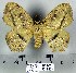  ( - DNA-VZ2011-128)  @13 [ ] Unspecified (default): All Rights Reserved  Unspecified Unspecified