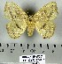  ( - DNA-VZ2011-129)  @12 [ ] Unspecified (default): All Rights Reserved  Unspecified Unspecified
