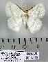  ( - DNA-VZ2011-132)  @12 [ ] Unspecified (default): All Rights Reserved  Unspecified Unspecified