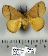  (Scotinocerides sp - DNA-VZ2011-134)  @13 [ ] Unspecified (default): All Rights Reserved  Unspecified Unspecified