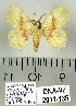  ( - DNA-VZ2011-135)  @12 [ ] Unspecified (default): All Rights Reserved  Unspecified Unspecified