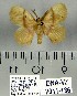  ( - DNA-VZ2011-136)  @12 [ ] Unspecified (default): All Rights Reserved  Unspecified Unspecified