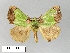  ( - WITT-LIMAC-029)  @15 [ ] Unspecified (default): All Rights Reserved  Unspecified Unspecified