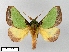  ( - WITT-LIMAC-041)  @13 [ ] Unspecified (default): All Rights Reserved  Unspecified Unspecified