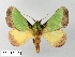  ( - WITT-LIMAC-049)  @14 [ ] Unspecified (default): All Rights Reserved  Unspecified Unspecified