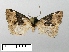  ( - WITT-LIMAC-073)  @13 [ ] Unspecified (default): All Rights Reserved  Unspecified Unspecified
