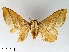  ( - WITT-LIMAC-137)  @12 [ ] Unspecified (default): All Rights Reserved  Unspecified Unspecified
