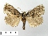  ( - WITT-LIMAC-154)  @13 [ ] Unspecified (default): All Rights Reserved  Unspecified Unspecified