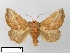  ( - WITT-LIMAC-198)  @11 [ ] Unspecified (default): All Rights Reserved  Unspecified Unspecified