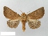  ( - WITT-LIMAC-199)  @14 [ ] Unspecified (default): All Rights Reserved  Unspecified Unspecified