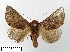  (Iragoides - WITT-LIMAC-200)  @14 [ ] Unspecified (default): All Rights Reserved  Unspecified Unspecified
