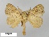  (Susica pannosa - WITT-LIMAC-248)  @12 [ ] Unspecified (default): All Rights Reserved  Unspecified Unspecified