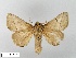  ( - WITT-LIMAC-304)  @11 [ ] Unspecified (default): All Rights Reserved  Unspecified Unspecified
