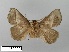  ( - WITT-LIMAC-306)  @14 [ ] Unspecified (default): All Rights Reserved  Unspecified Unspecified