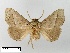  ( - WITT-LIMAC-307)  @13 [ ] Unspecified (default): All Rights Reserved  Unspecified Unspecified